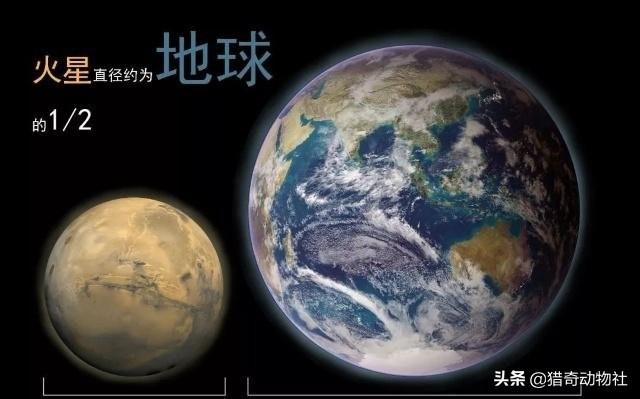 火星生命:火星上曾经有生命存在过吗？