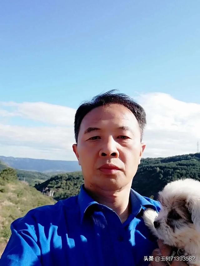 德阳狗狗微信交流群:为什么狗狗那么喜欢舔人？
