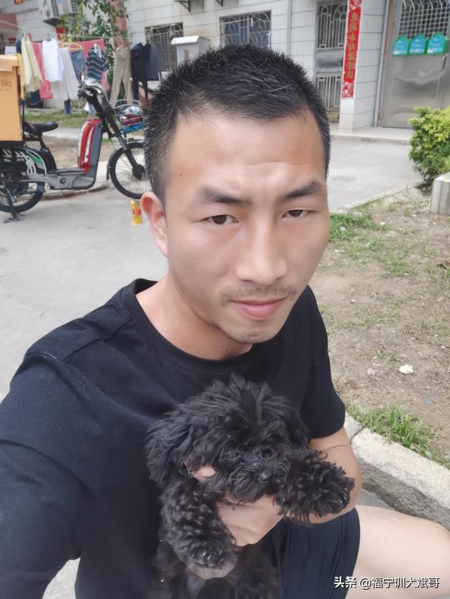 怎么训练狗接球:怎么训练狗狗捡球？它每次捡了球回来都不肯轻易把球给我？