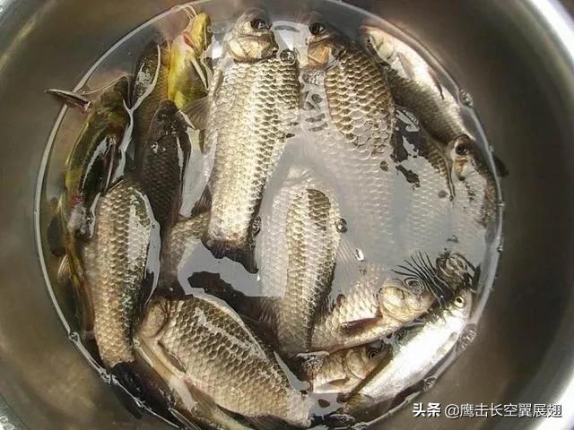 打算添根鱼竿,有哪些推荐？