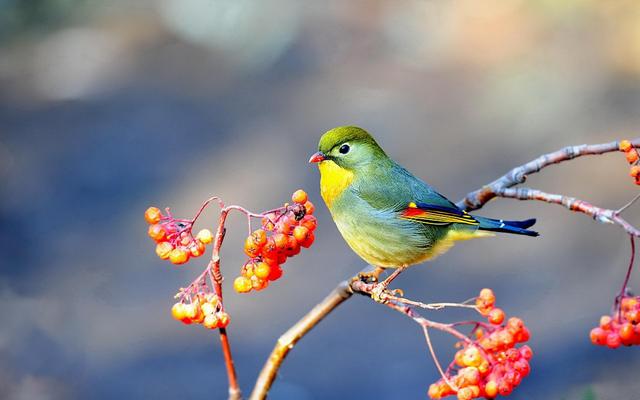 星座不合怎么办,和女朋友星座不合怎么办？