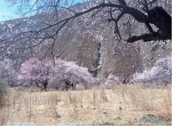 神奇石画:奇石收藏，哪种奇石你认为值的收藏我的这些奇石收藏有价值吗