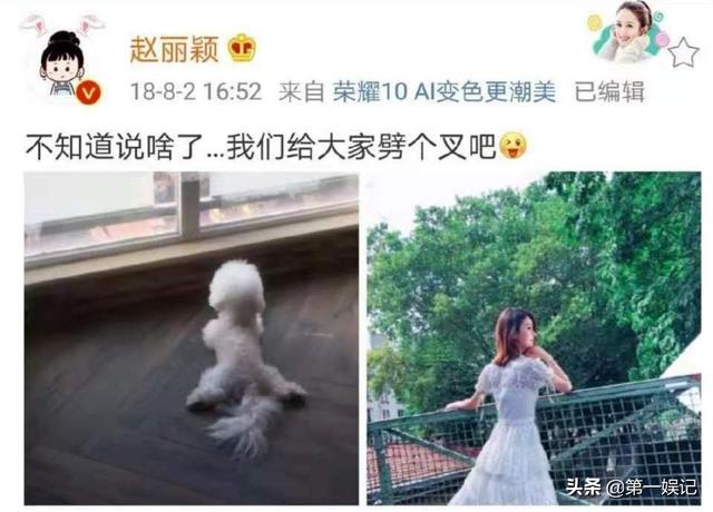 陈坚半张脸辟谣:有哪些曾被当事人辟谣的娱乐新闻，最终被证实是真实的
