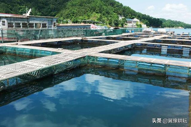 如果我想进行水产养殖要如何入手和学习