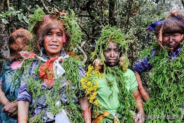 彝族火把节,彝族的传统节日：火把节？