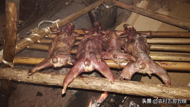 你们家乡过“冬至”日吗？冬至都吃什么好吃的？插图14