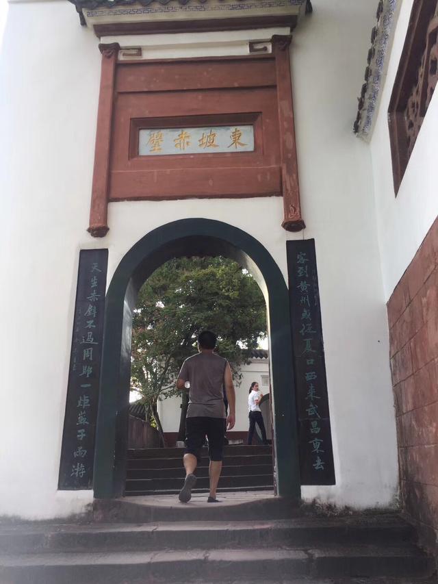张雷简历:你最喜欢的书画艺术家是谁