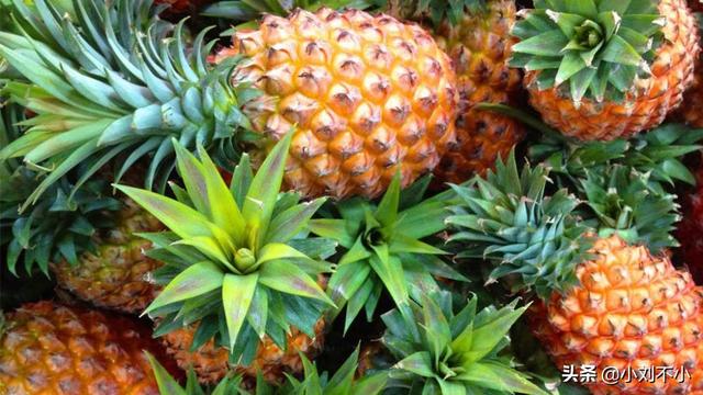 吃哪些水果或者食物可以提高记忆力？