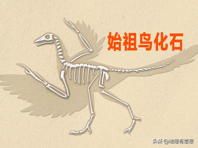 麻雀是谁:我们最熟悉的动物之一麻雀它的起源史到底是什么
