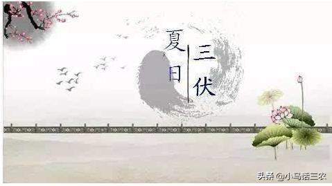 入伏从哪天算起2020年:2020年什么时候入伏？什么时候最热？