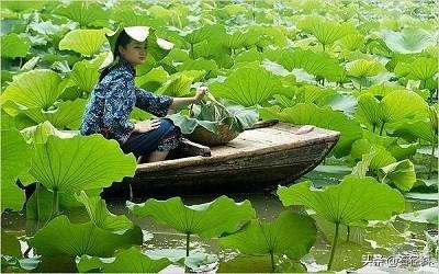 你知道的非常有情趣、童趣的古诗有哪些？