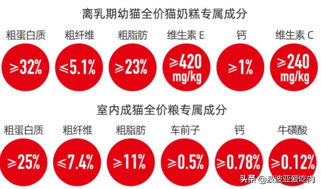 给英短吃的猫饭:英国短毛猫最喜欢吃什么？
