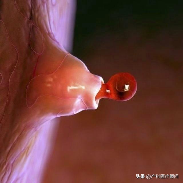 正在备孕中,哪几天最容易受孕？