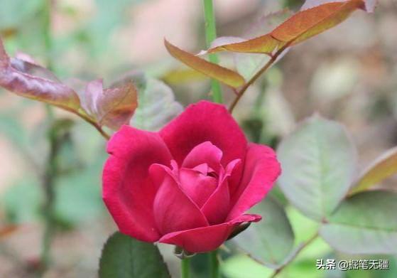 感情里,时间教会了你什么？