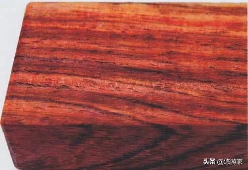 什么是属木,红木知识，什么木属于红木？