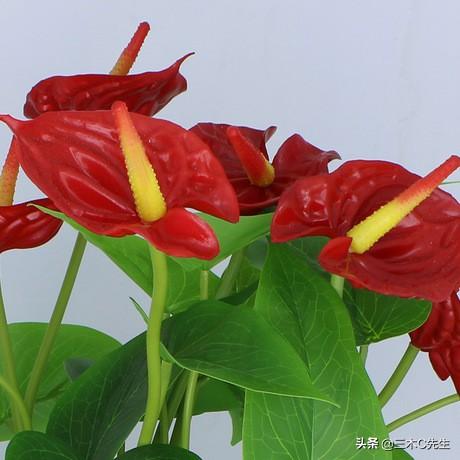 败财怎么化解,怎样才能化解仇恨和愤怒？