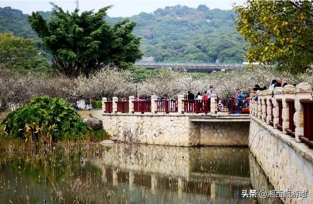 萝岗创业公园怎么去，brt棠下村到萝岗香雪公园怎么走