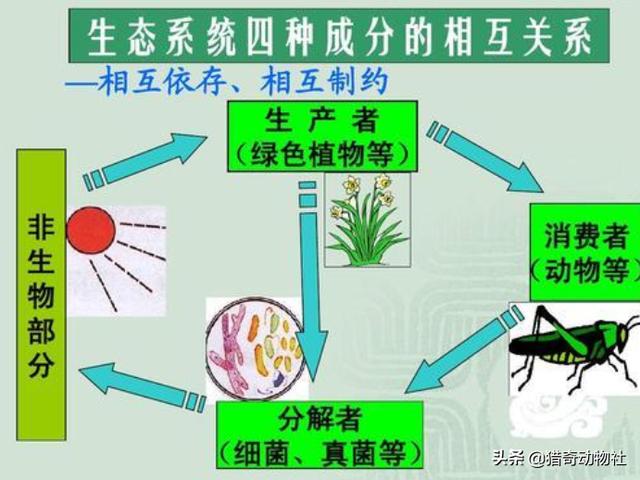 慢慢消失不见的8种河鲜，传统的那些老手艺职业，现在有好多已经慢慢的消失不见了吗