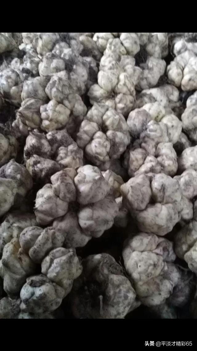 种什么药材又快又值钱？