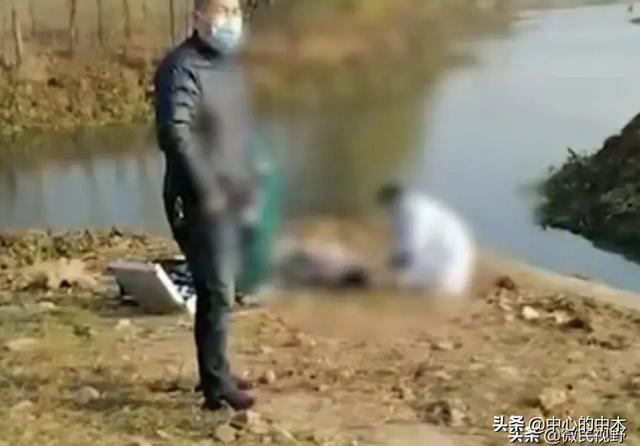 新几内亚歌唱犬灭绝半世纪:那些说自杀不应该救的是一种什么心态，难道自杀真的不应该救吗？