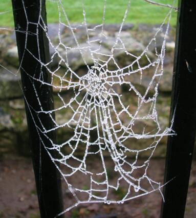 长久不住人的房子为什么更容易残破？插图3