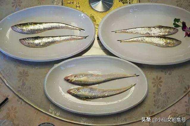 长江最贵的经济鱼有哪些,晒图为证哦？