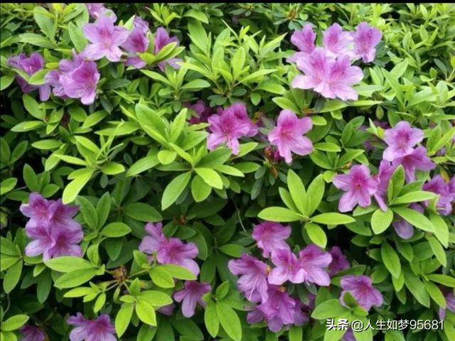 你去过哪些非常小众却又特别美的景点？插图71