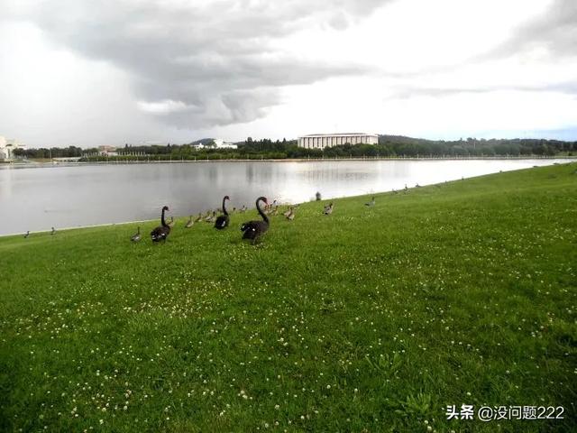 澳大利亚属于哪个洲,澳大利亚自己不是一个洲吗？