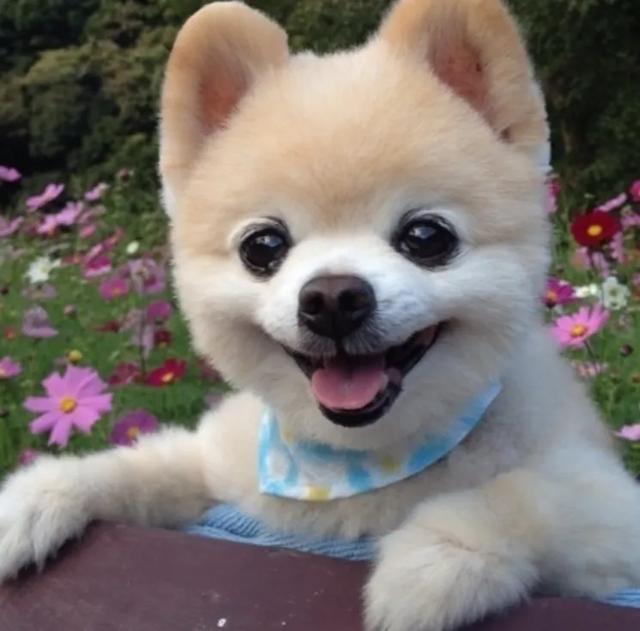 灵异事件之十二生肖:十二生肖最可怕的一面是什么？
