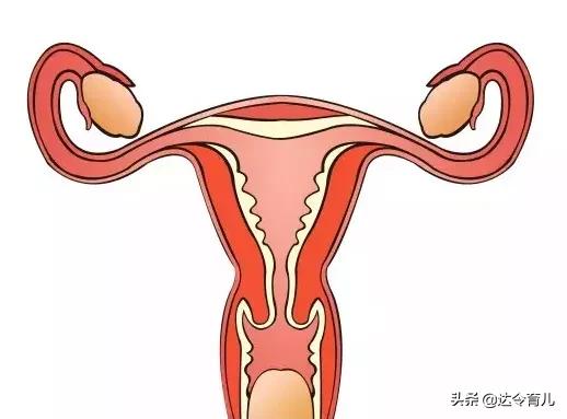 头条问答 - 宫颈口太小会影响受孕吗?(60个回答)