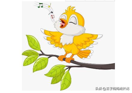 夏天怎么拍好看流水潺潺？:流水潺潺什么意思 第4张