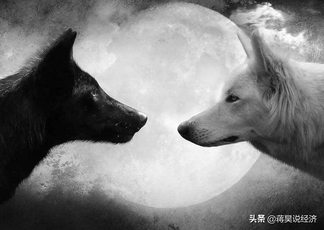 褚时健简历:褚时健在种植、农业管理上有什么独特的地方？