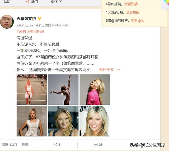 莎拉波娃武贾西奇:如何看待网球女神莎拉波娃退役