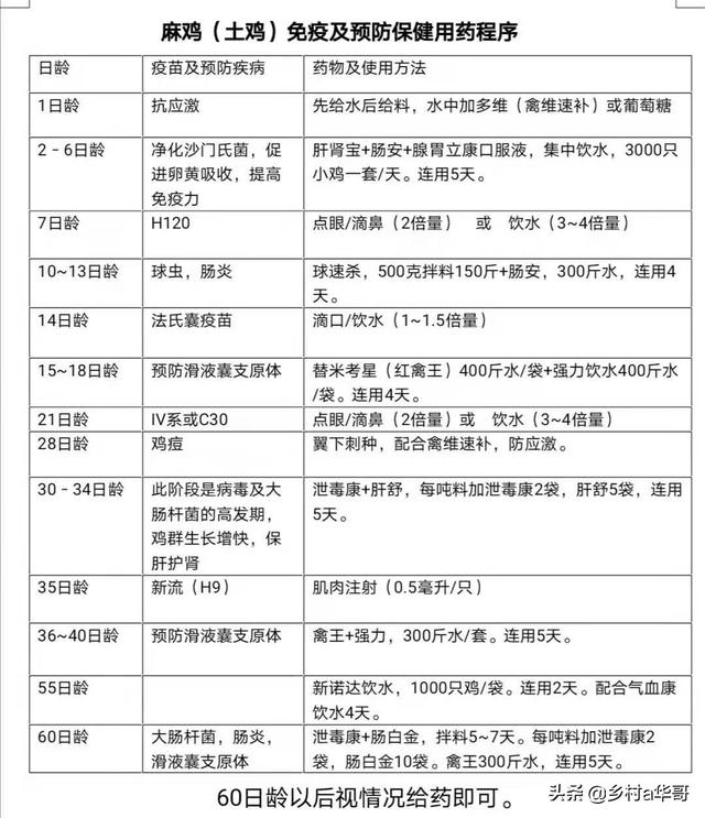 散养鸡技术:散养的土鸡吃什么？需要注意什么？