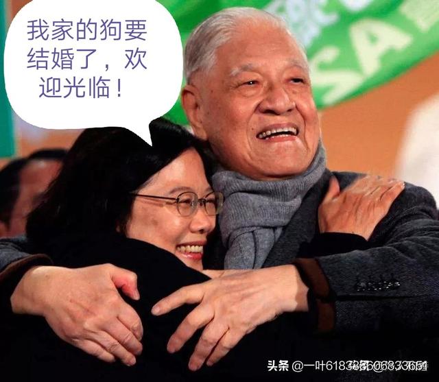可爱小小时尚狗的照片:你手机里有可爱狗狗的照片么？发出来看看？ 可爱小白狗的照片