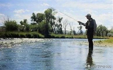 深海喂食者钓鱼团:冬季钓混养鱼塘，用什么钓饵比较好？