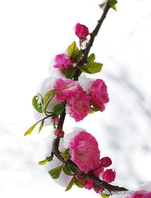 一眼看中的房子是有缘吗,你有没有看一眼就爱上的文物？