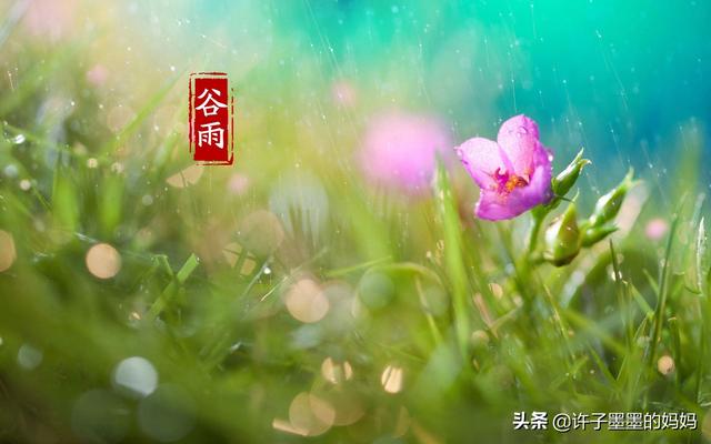 今天谷雨,春已暮,夏将至,谁有这个节气最经典的诗句与歇后语,带我们欣赏一下呗？