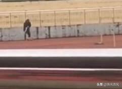 保安遭恶犬攻击撕咬:假设一个人养了五只猎犬，如果一只攻击主人，其他四只会如何？ 恶犬打保安完整版