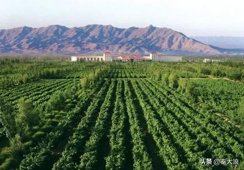 岑梦凡:大家了解的可靠的葡萄酒品牌有什么？