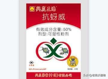 蚜虫怎么防治:蚜虫防治有什么好的办法吗？