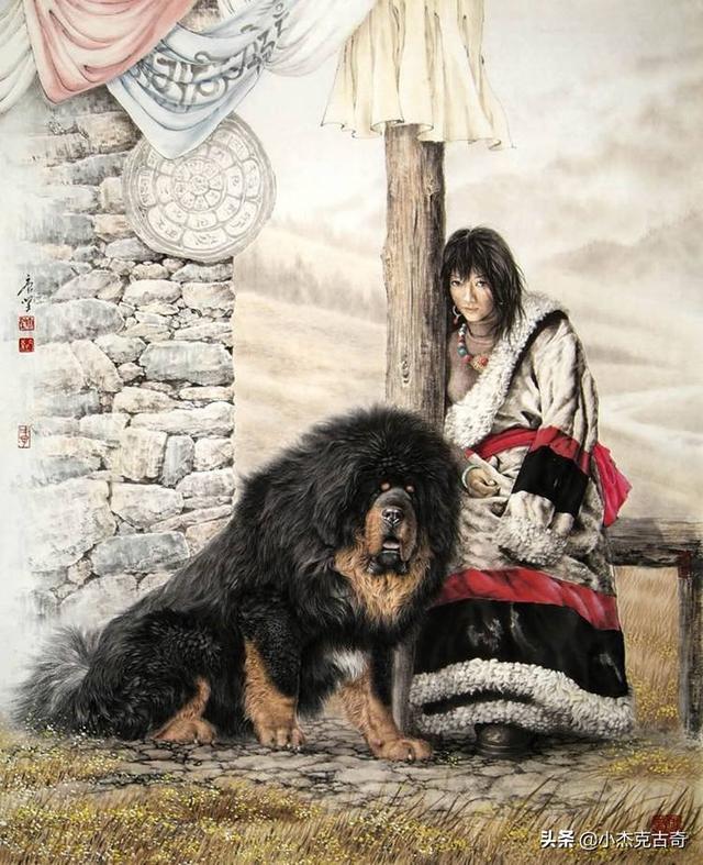 牧羊犬狗:在一窝德牧幼犬中，如何挑选一只好的幼犬？