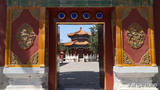 狼图腾熬旱獭油:如果这次疫情，还要一个月不能出门，你会怎么办？