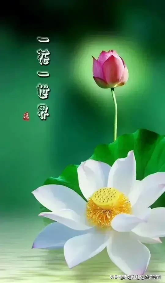看着自己容颜一天天变老,你是什么心情？