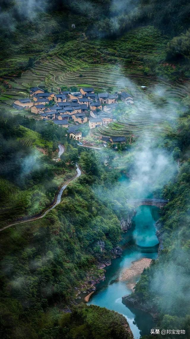 宠物美容师招聘要求:开宠物美容店要多少钱，必须具备哪些才能开？