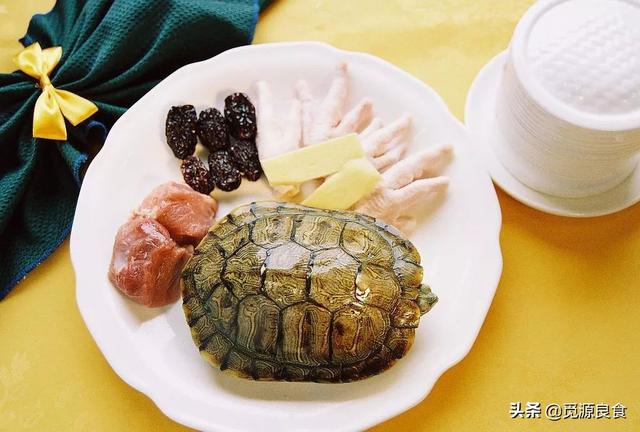 中华花龟的药用价值:龟肉有什么营养价值？什么人最好不要吃龟肉？ 中华花龟的营养价值