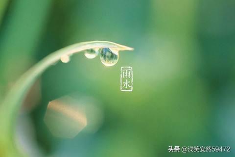 润物细无声是描写春雨的吗:“随风潜入夜，润物细无声”这两句诗是从什么角度来写春雨的？