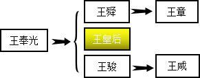 汉宣帝刘询:有人说“汉宣帝拥有最庞大的四大外戚”，你怎么看？
