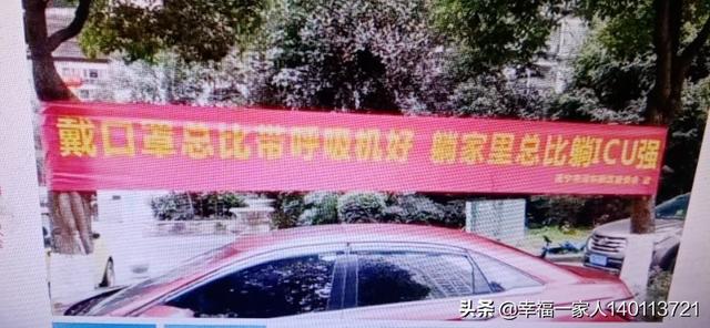 丽水仓鼠待领吧:新手养仓鼠要买什么，有什么好的淘宝店推荐吗？