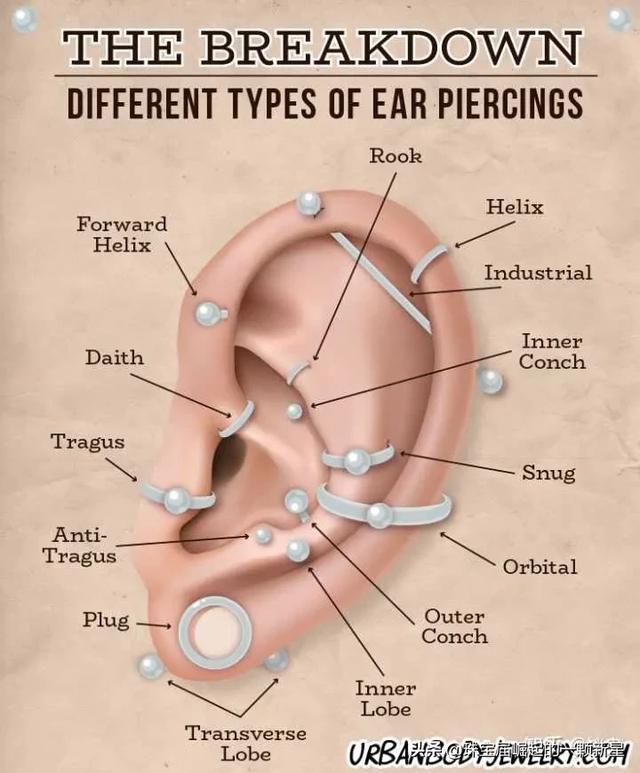 打耳骨有什么危害，打耳骨疼吗，有没什么危害